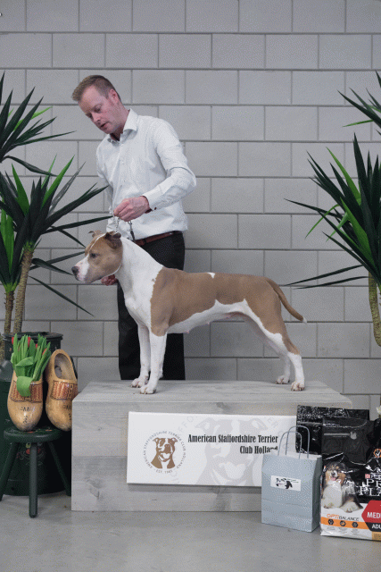 36A6102 38698797152 O