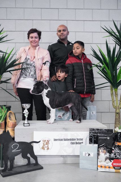 36A6111 26954946339 O