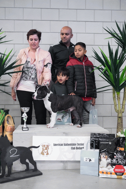 36A6110 38730972771 O