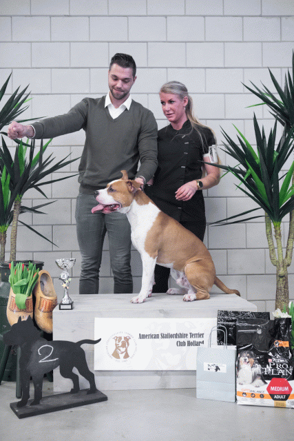 36A6116 26954946129 O