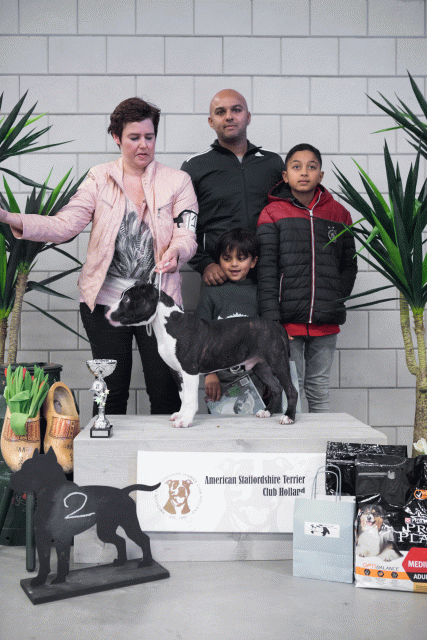 36A6109 24857897608 O