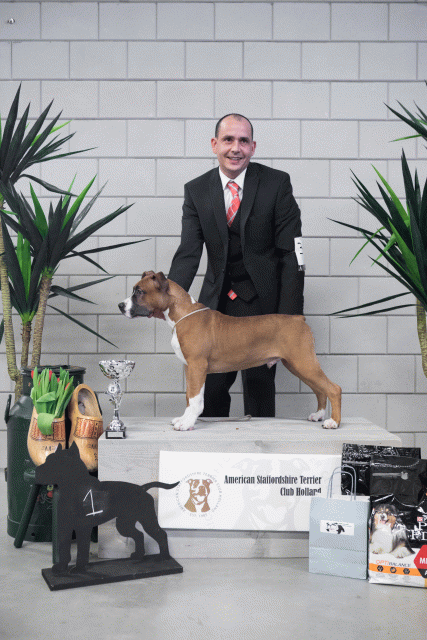 36A6107 38013719654 O