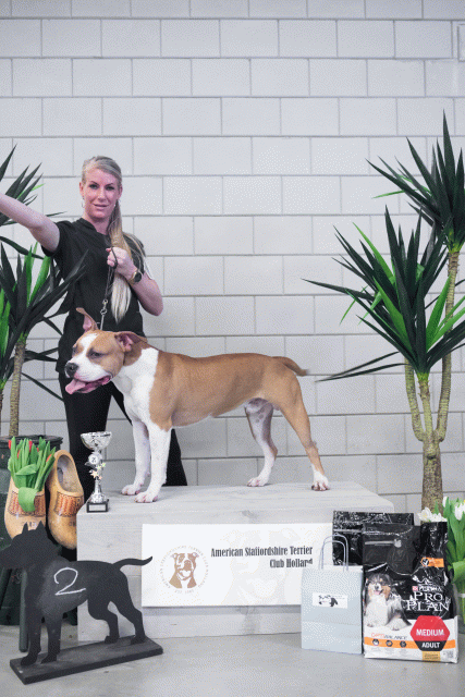 36A6119 24857894668 O