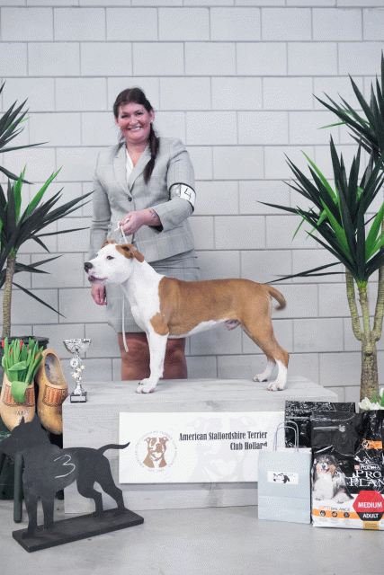 36A6126 38013714734 O