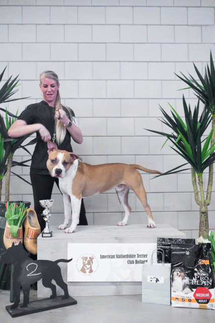 36A6117 38013716344 O