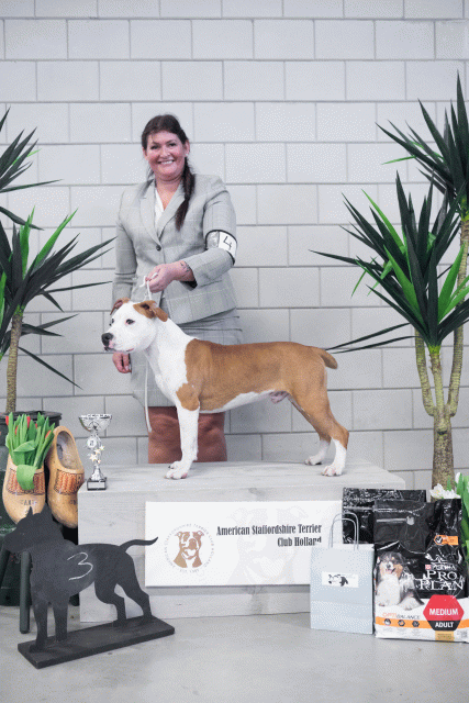 36A6125 24857893508 O