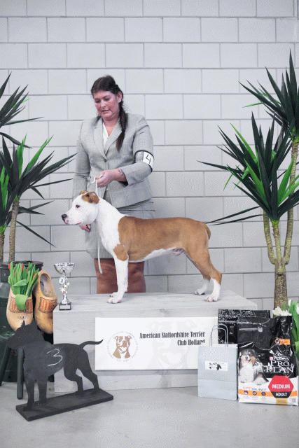 36A6124 38013715204 O