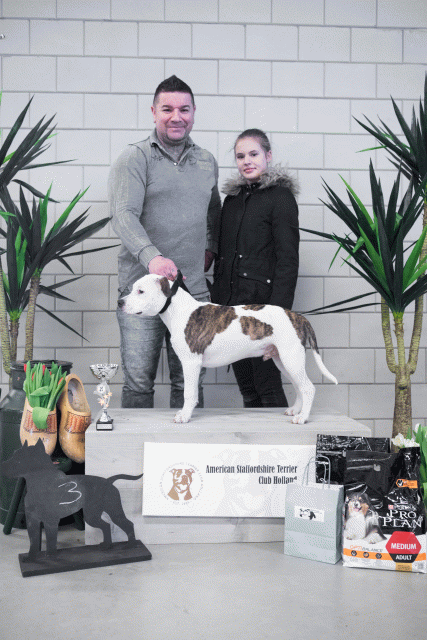 36A6133 23865837967 O