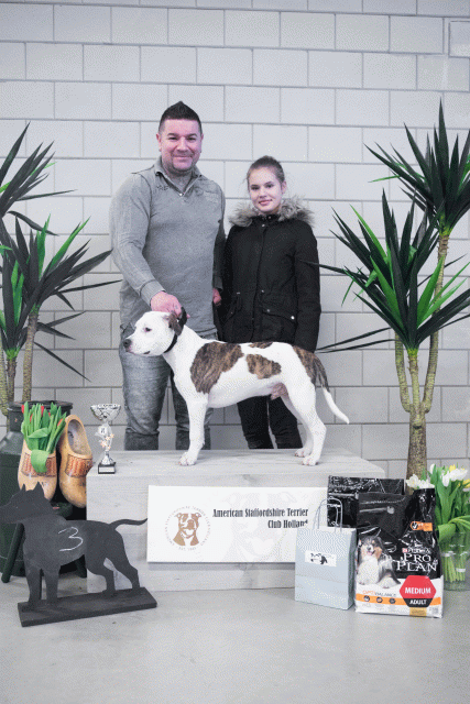 36A6134 38013713254 O