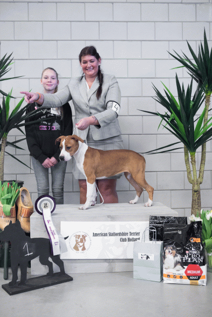 36A6128 24857892468 O