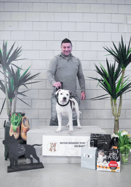 36A6131 38013713584 O