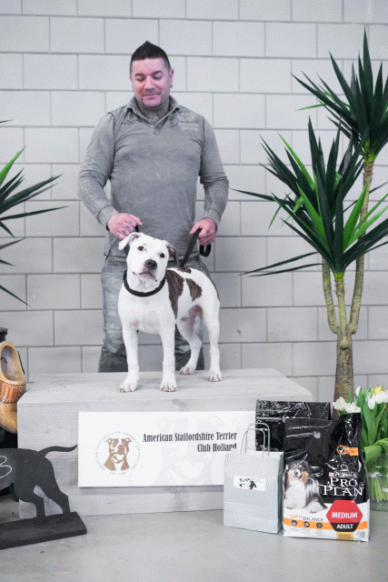 36A6129 38013714114 O