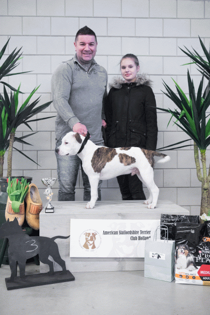 36A6135 23865836917 O