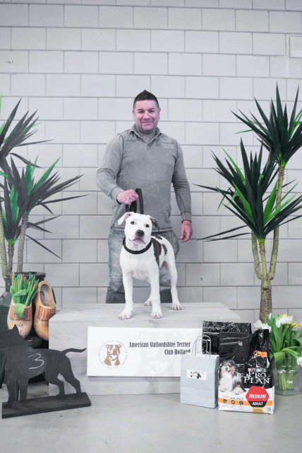 36A6130 23865838687 O