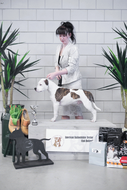 36A6140 38013710934 O