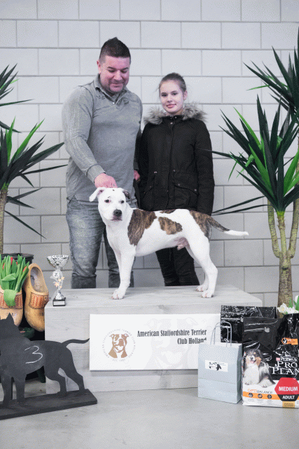 36A6136 38013712814 O