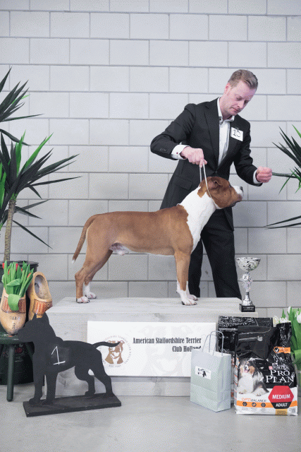 36A6142 38013710374 O