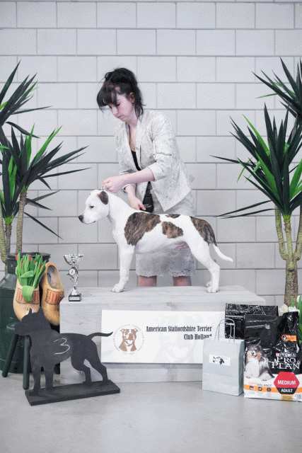 36A6138 38013711554 O