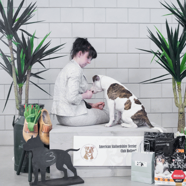 36A6137 23865835967 O