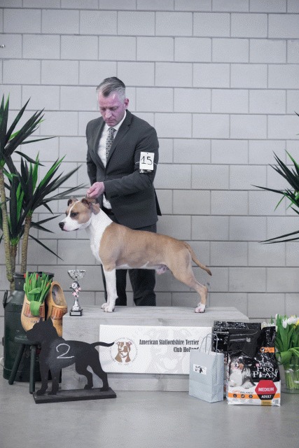 36A6143 24857885218 O