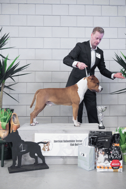 36A6141 24857886848 O