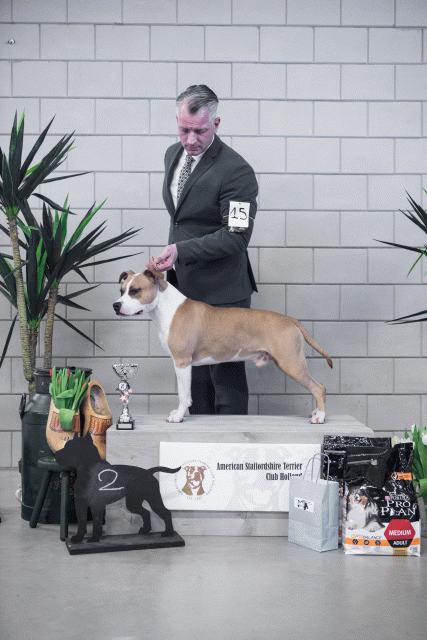 36A6147 37843289725 O