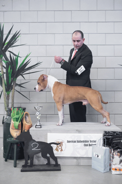 36A6150 24857884138 O