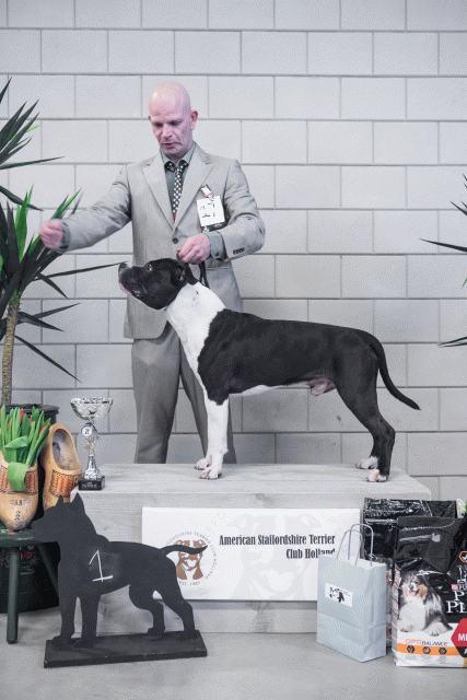 36A6154 24857882268 O