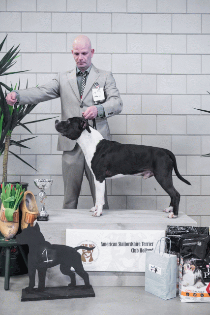 36A6153 37843287565 O