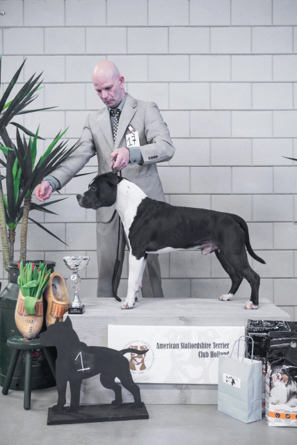 36A6152 24857883148 O