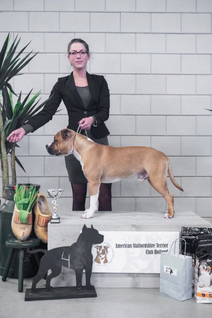 36A6155 37843286485 O