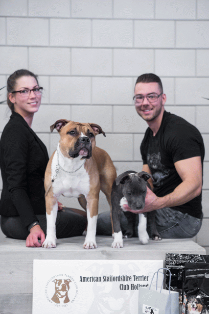 36A6165 38730944231 O