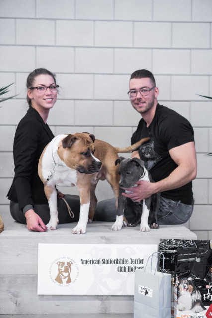 36A6162 38730945211 O