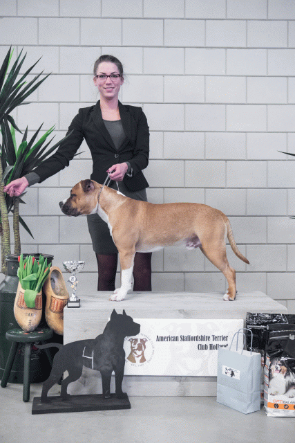 36A6156 24857881328 O