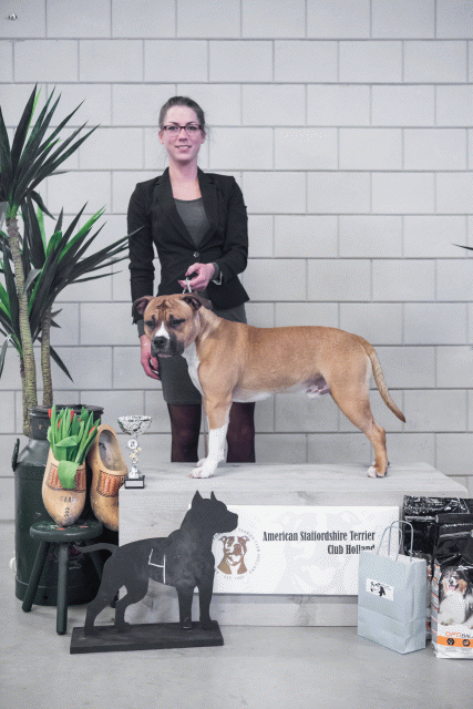 36A6159 38730946121 O