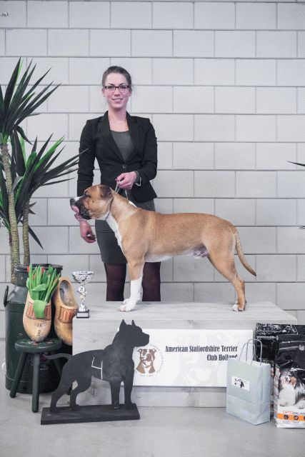 36A6157 38730947471 O