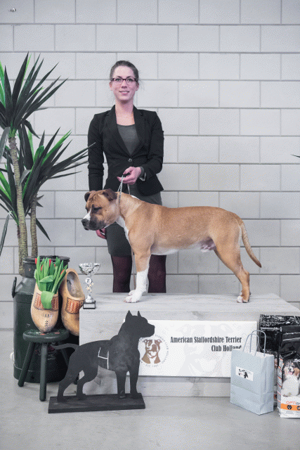 36A6158 23865823887 O