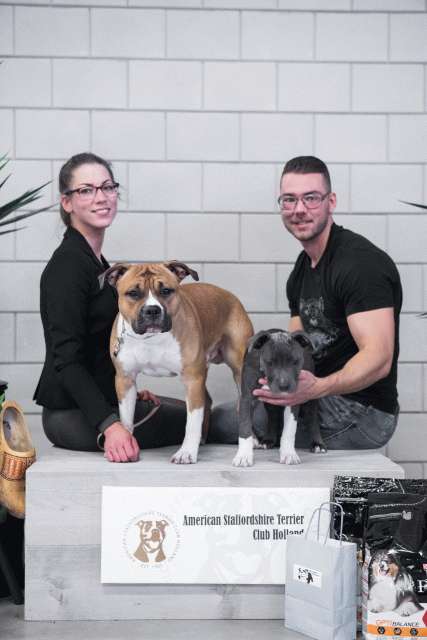 36A6163 23865821027 O