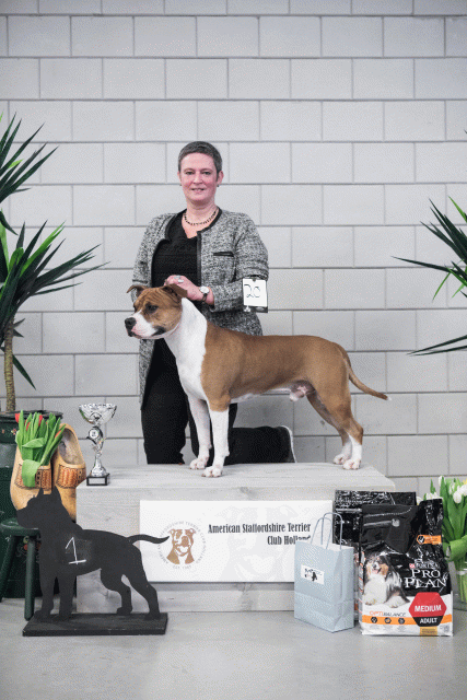 36A6168 23865819057 O