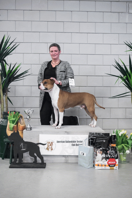 36A6166 23865819977 O