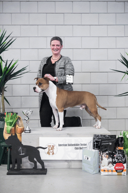 36A6169 38730942921 O