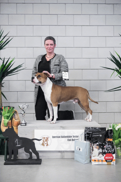 36A6167 38730943591 O