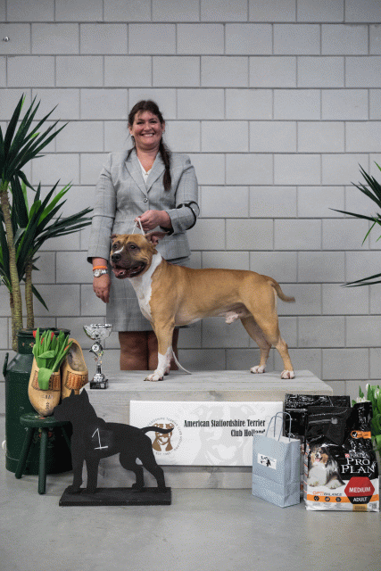 36A6173 23865817777 O