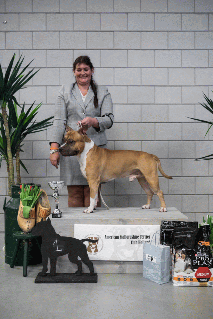 36A6172 23865818187 O