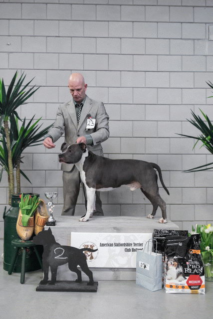 36A6177 23865815587 O