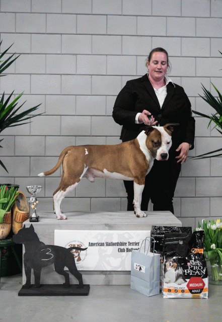 36A6175 23865816787 O