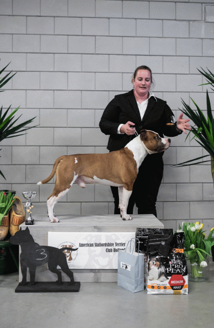 36A6174 23865816967 O