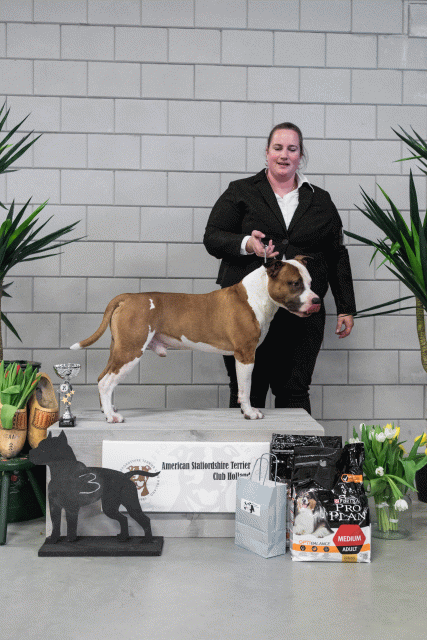 36A6176 38013703624 O