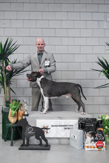 36A6178 23865814907 O