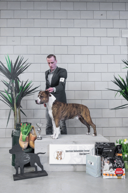 36A6184 23865810007 O